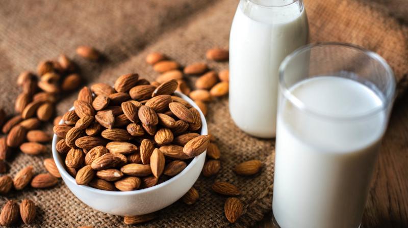 Explore healthy vegan milk options this World Milk Day
