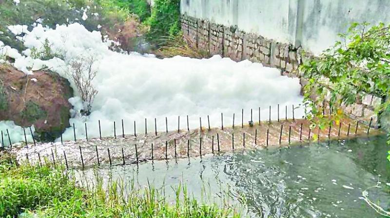 Froth covered major parts of RK Puram lake on Monday.(Photo: DC)