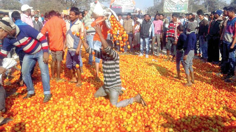 Farmers protest by throwing tomatoes on National Highway-33 at Bundu near Ranchi for not getting a fair price for their produce. (Photo: PTI)