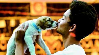 At Md Zabi Khan’s shelter home animals are loved, fed and cared