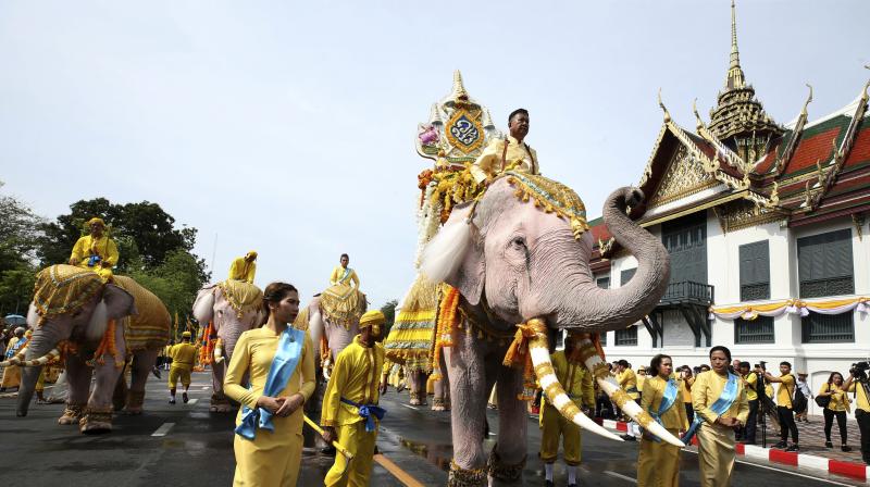 Elephants march to honour new Thai King