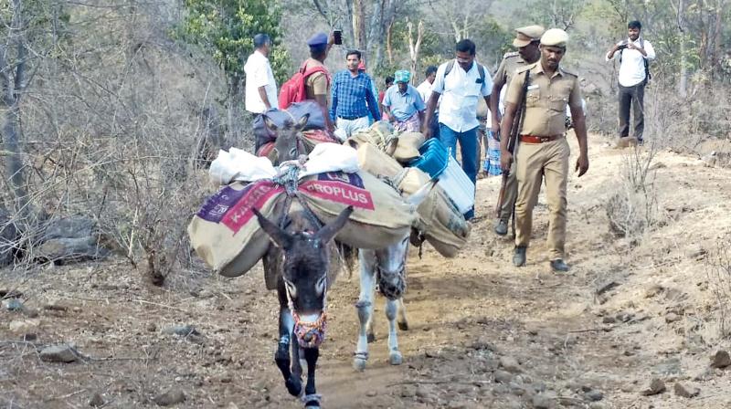 Donkeys employed to carry EVMs in Dharmapuri district