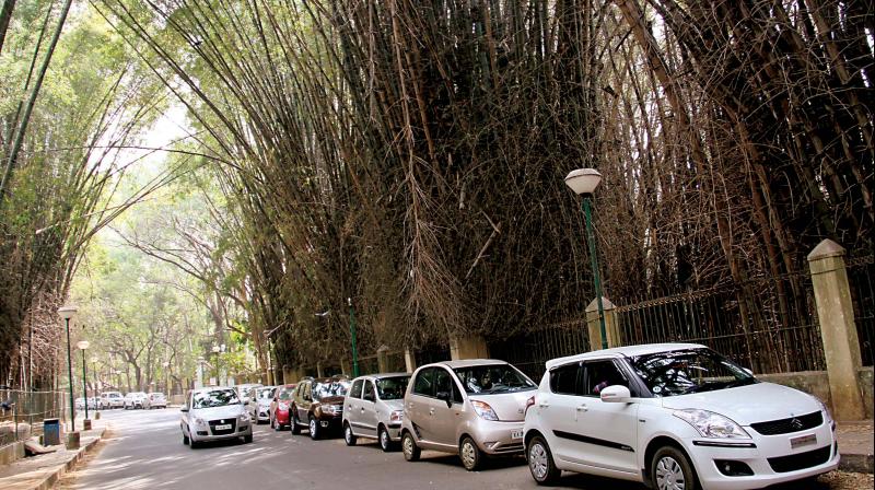 Elevated corridor: Campaign on to save Cubbon Park trees