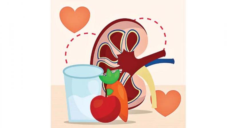 For healthy kidney, keep salt intake in check