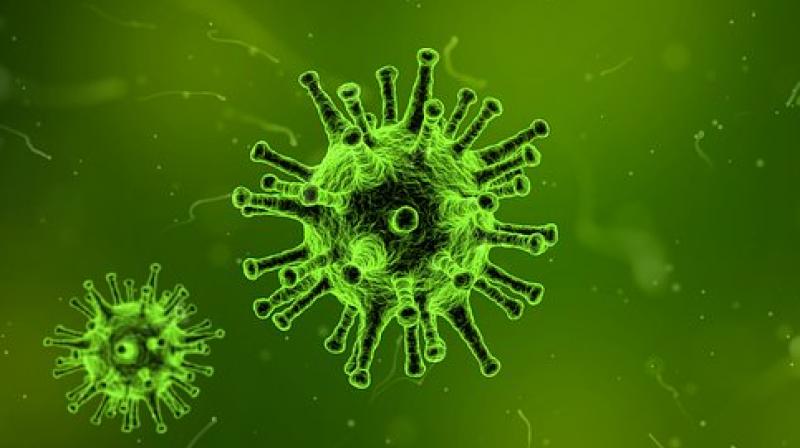 Herpes Simplex Virus: Risk factors and preventive measures