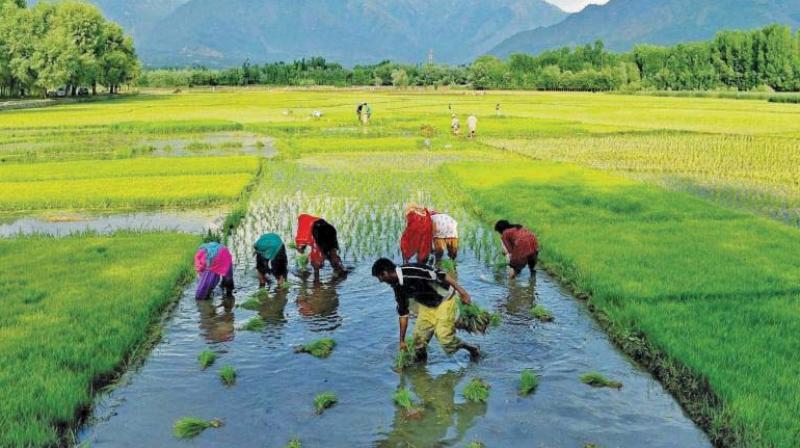 In the last year and a half, batches of farmers have arrived in the nations capital as many as four times to draw the attention of Parliament and the government to the crisis in agriculture and to the miserable lives they lead.