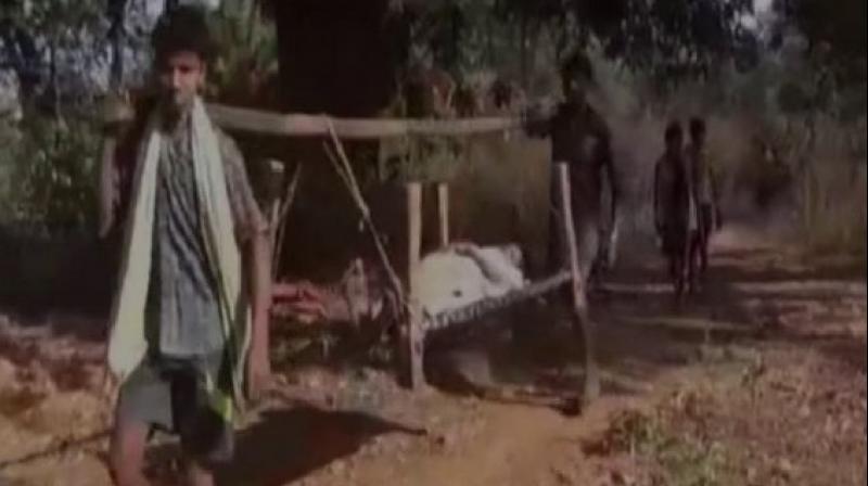Chhattisgarh govt officers risk lives, provide health care to tribals