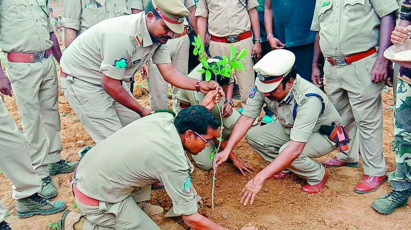 Asifabad: Forest officers reclaim land, plant saplings