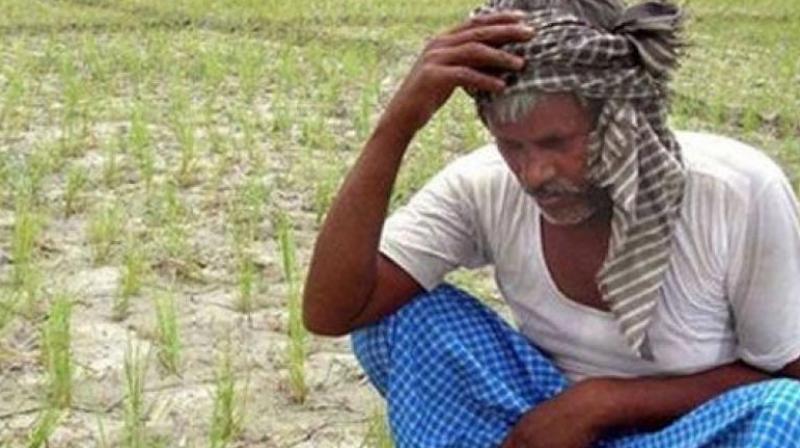 State government to pay insurance of Prakasam farmers