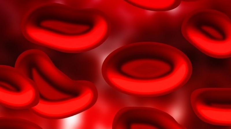 First-degree relatives play defining role in developing certain blood cancers