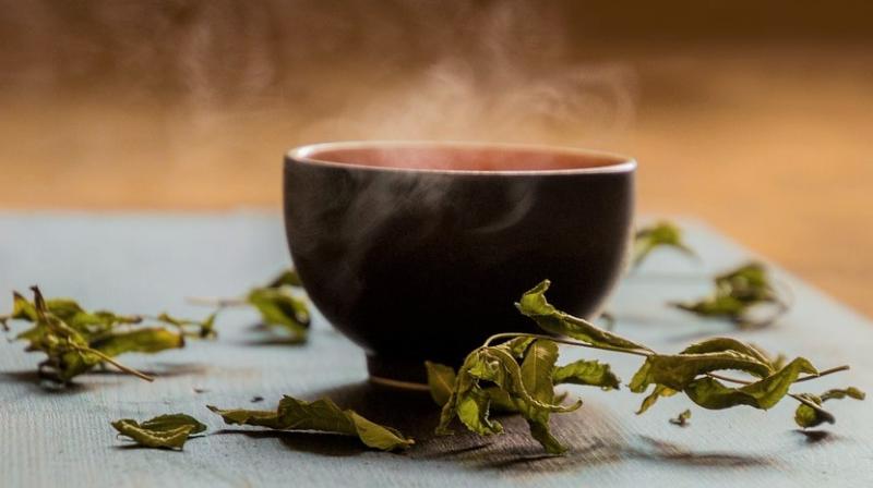 Improve gut health with green tea