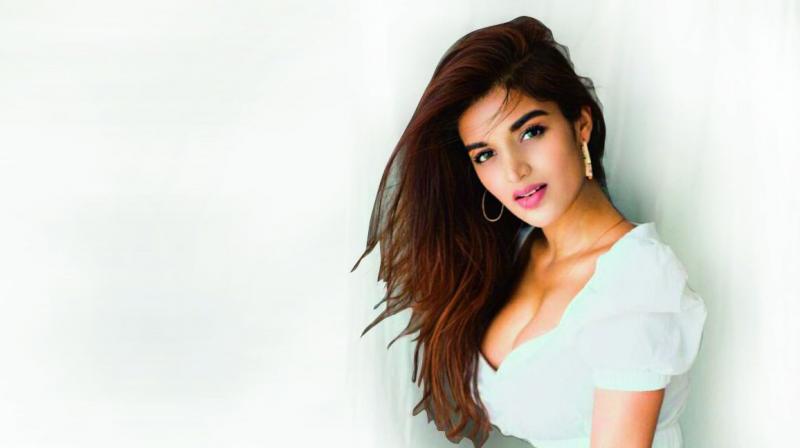 Nidhhi Agerwal gets a new passport
