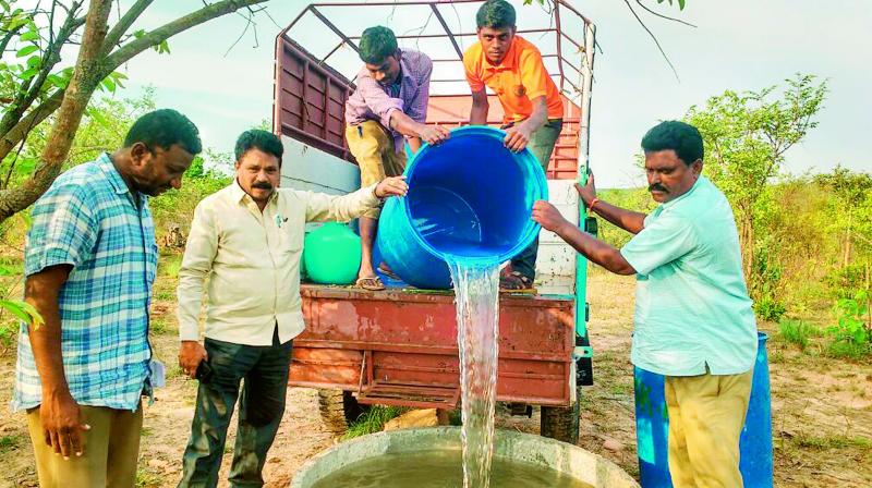 Nellore/ Kadapa: Wild animals hit by water scarcity