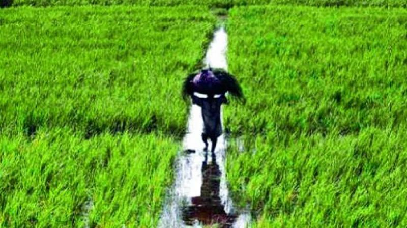 Thanjavur: Delta farmers to intensify stir against hydrocarbon projects