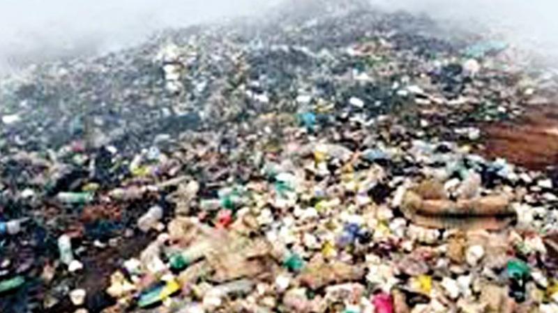 Netherlands to upgrade 10 waste plants