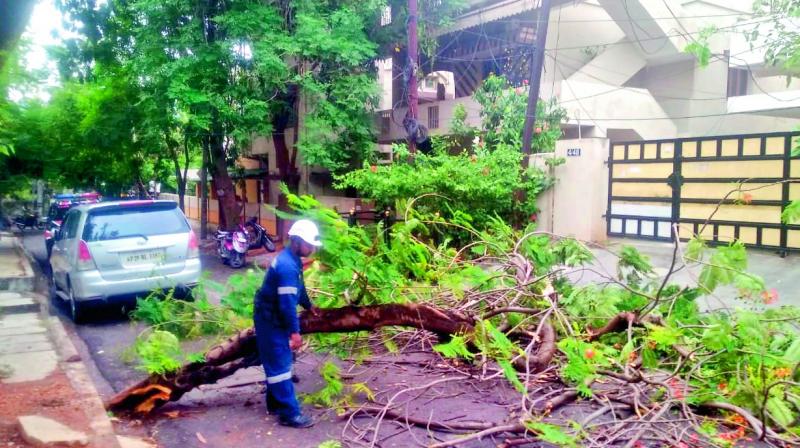 The Disaster Response Force personnel of the GHMC clearing a fallen tree at DD Colony on Saturday. (Photo: P. Surendra)