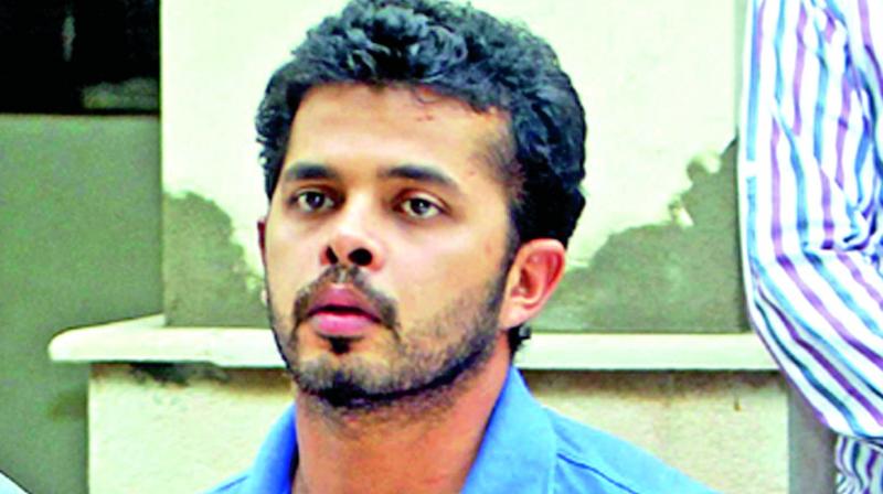 S Sreesanth swears on his kids, denies fixing charges