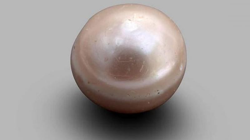 World\s oldest pearl found in Abu Dhabi\s Louvre