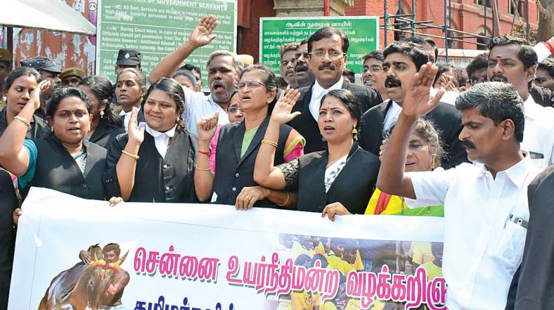 Advocates of Madras high court on Thursday stage a  protest supporting jallikattu.  (Photo: DC)
