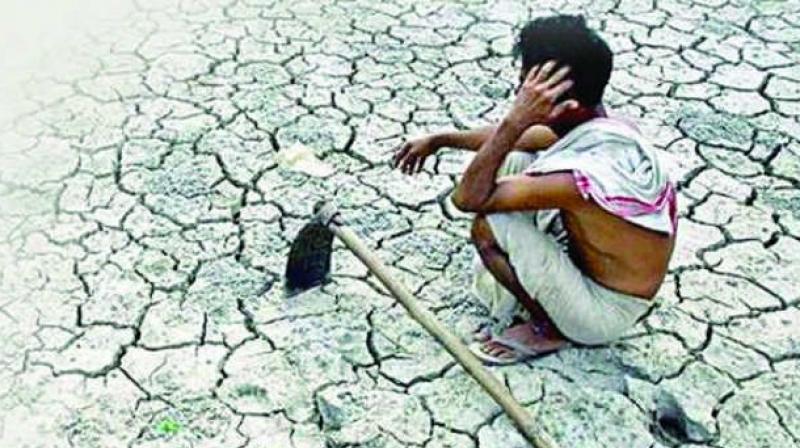 P. Sathyagopal on Thursday conducted a high-level meeting with the state water managers and district collectors to gauge the drought situation in all the districts.