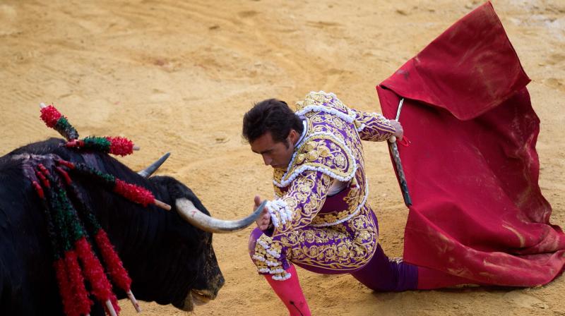 Corpus bullfighting festival 2018: Famous matadors take on bulls in Spains Granada