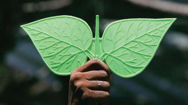 This is the second time in the history of AIADMK that the Two Leaves symbol is being frozen.