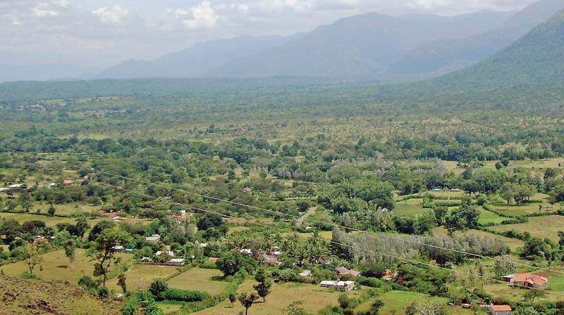 View of the elephant corridor at Segur Valley along the Mudumalai Tiger Reserve. (Photo: DC)