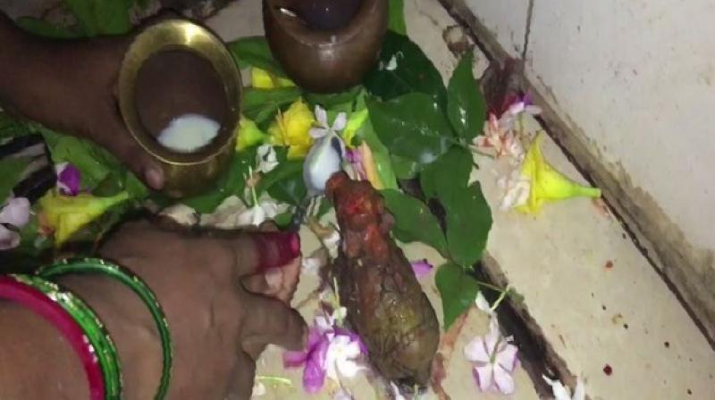 Bihar: Gaya residents claim idol of Nandi drinks milk offered by devotees
