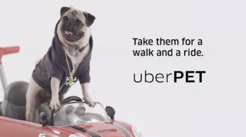 Uber Pet will solve pet-lovers\ biggest problem