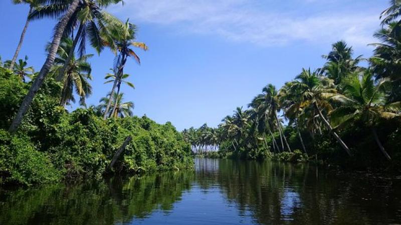 Monsoonal Kerala: An ultimate travel guide