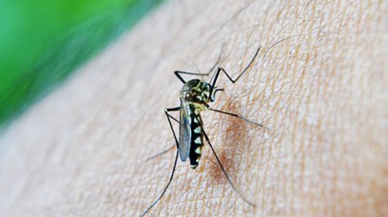 Malaria can be effectively eradicated from India