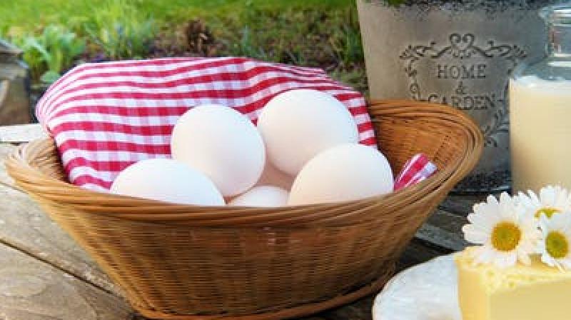 Eggs: To eat or not to eat?