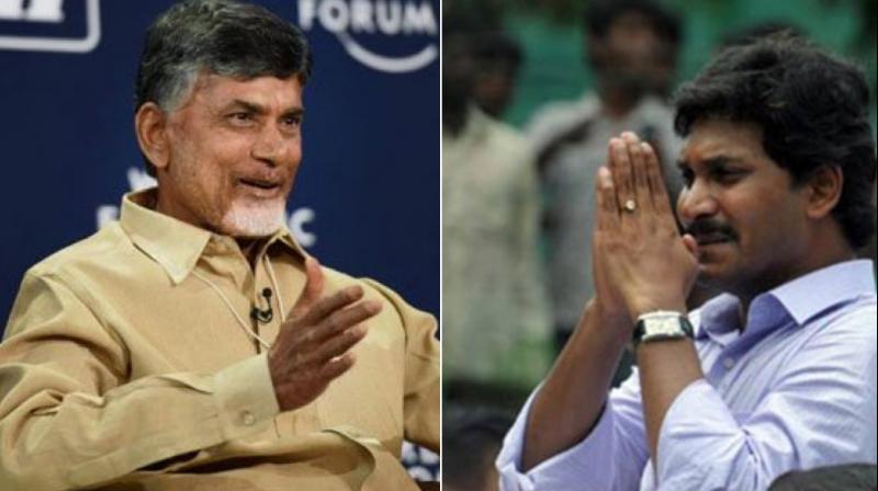 As far as Assembly polls are concerned, at least two exit polls have predicted that TDP president N Chandrababu Naidu might get another term as Chief Minister, while one has predicted a huge win for YSR Congress. (Photo: PTI)