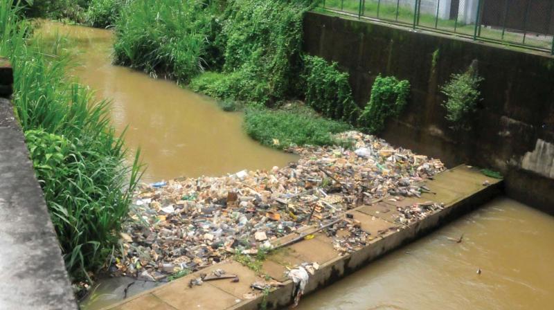 NGT raps corp over waste management
