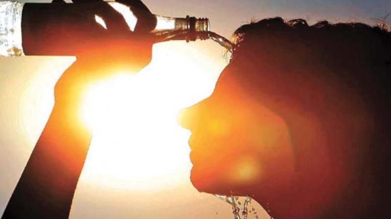 Eight new sunburn cases in Kozhikode