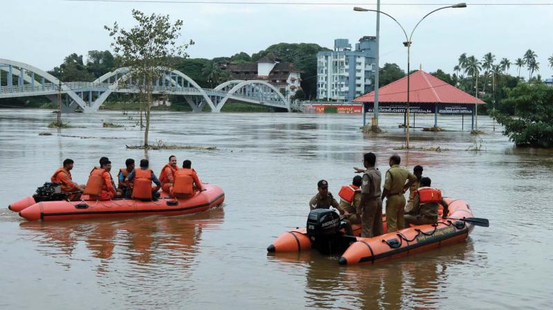 Weather fails to register on poll radar