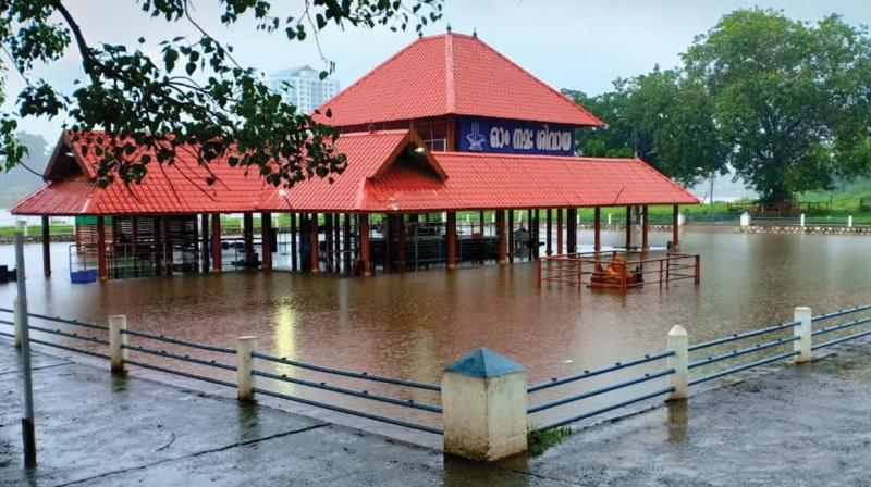 Kochi: Dams opened as rains intensify
