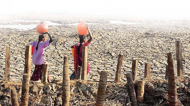 As the North East monsoon recorded a deficit of 40 to 50 per cent, the district could not implement rainwater harvesting programmes.