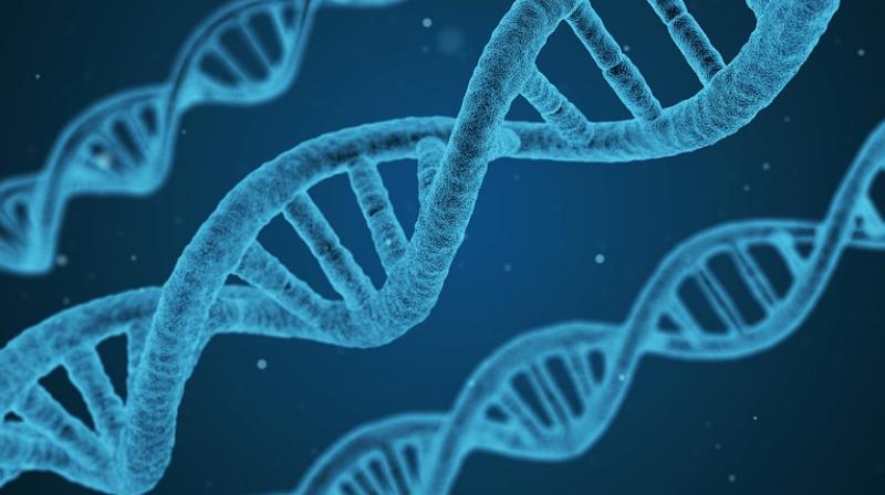 New study finds genetic interactions responsible for neuro disorders. (Photo: Pixabay)
