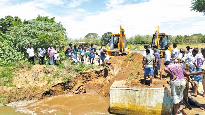 Breach in Cauvery canal near Papanasam district