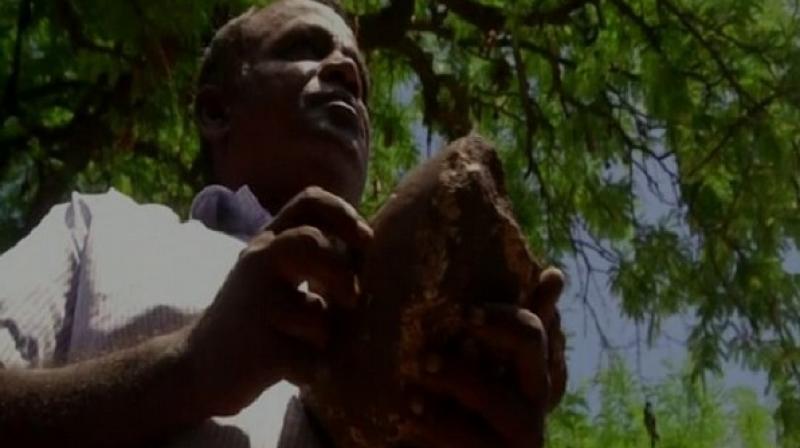Man discovers 35-year old meteoroid stone in farmhouse in Coimbatore