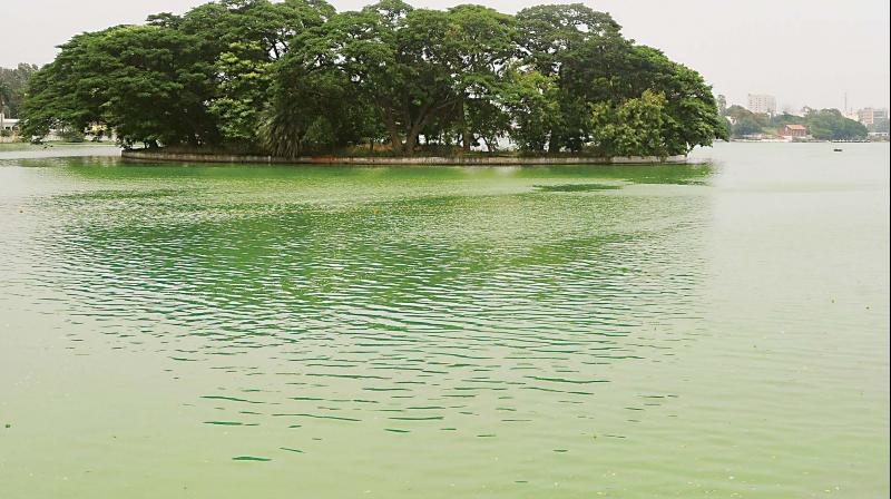 Bengaluru: Call to restore city lakes on war footing