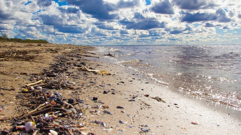 Plastic menace plagues the Indian Ocean islands