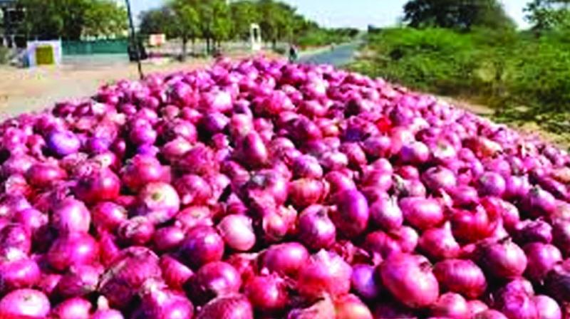 Wholesale onion prices fall below Rs 30 per kg after govt measures