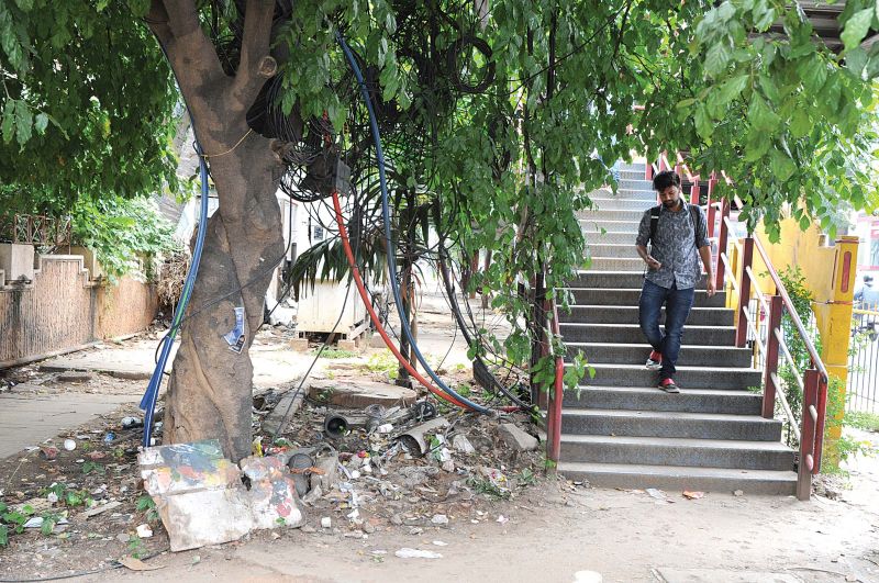 The other entrance is blocked by tree branches (Photo:DC)