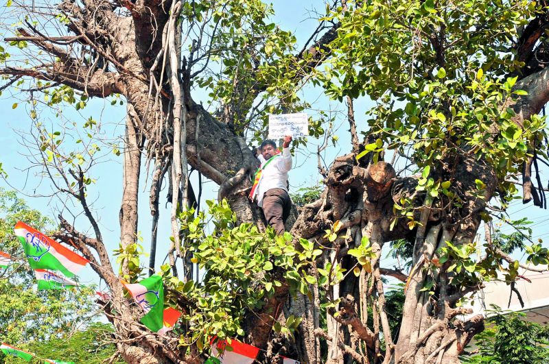 A man climbs a tree demanding Malkajgiri ticket for Congress leader Nandikanti Sridhar. 	 P. Surendra