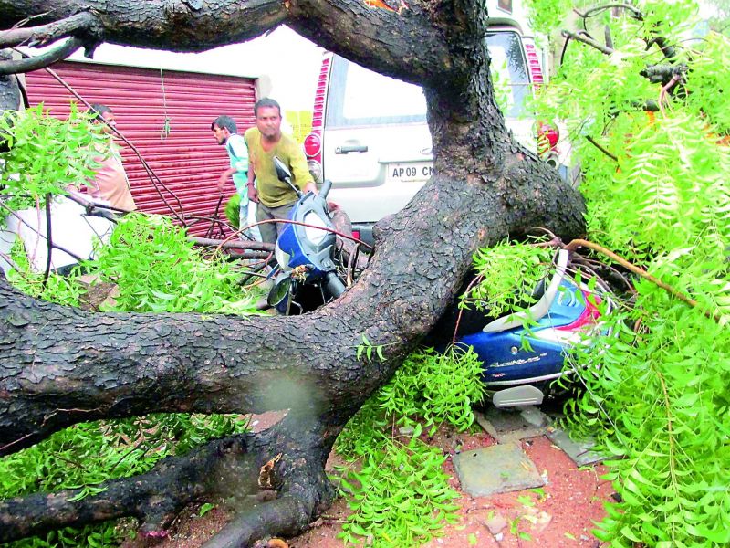 An uprooted tree damaged a vehicle at Goshamahal. 