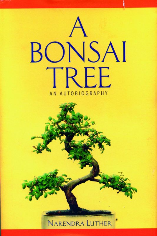 Cover of the book A Bonsai Tree