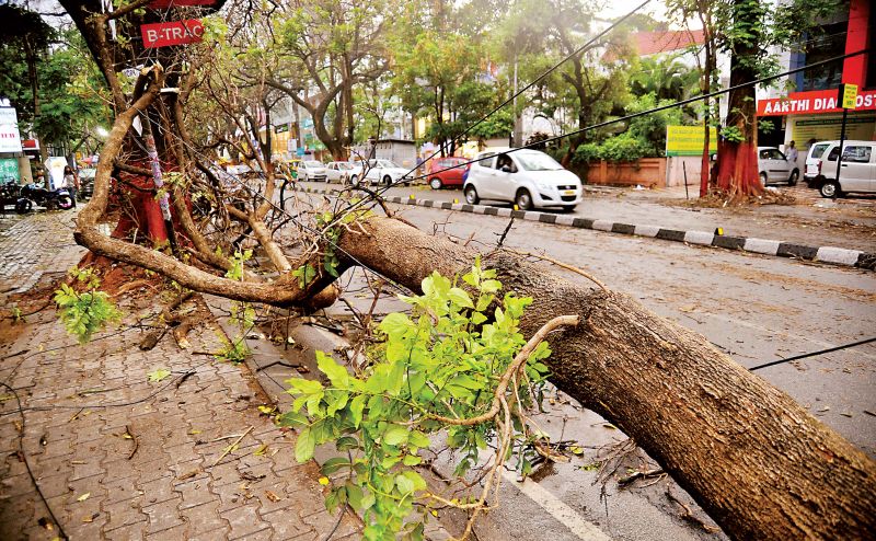 Traffic police had a tough time clearing the, and the situation returned to normal only around 8 pm.