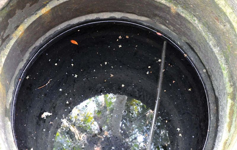 The polluted well situated behind a service centre. 